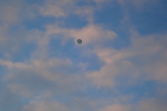 OLYMPUS DIGITAL CAMERA