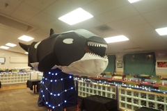 OLYMPUS DIGITAL CAMERA